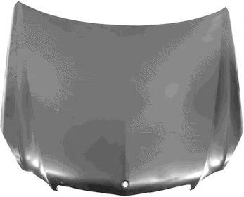 VAN WEZEL 3044670 -  Капот двигателя